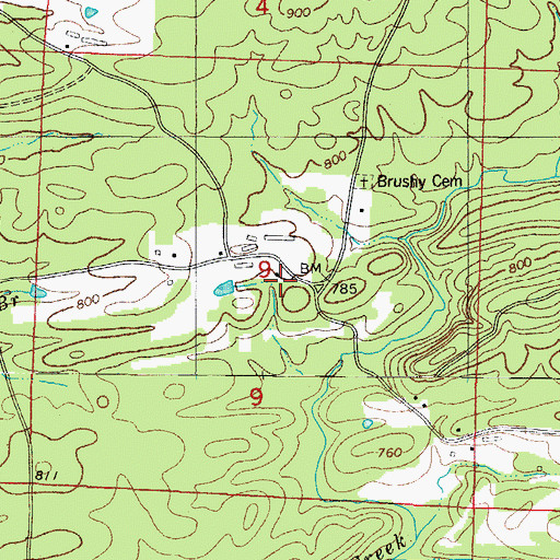 Topographic Map of Brushy School, AR