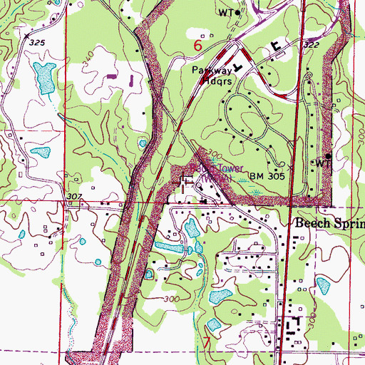 Topographic Map of Beech Springs Cemetery, MS