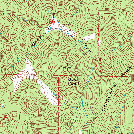 Topographic Map of Buck Point, AR