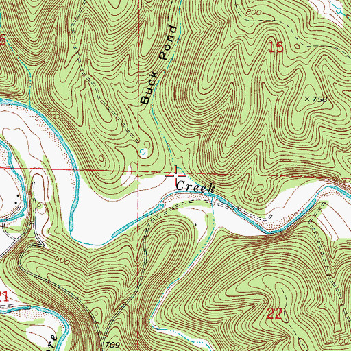 Topographic Map of Buck Pond Hollow, AR