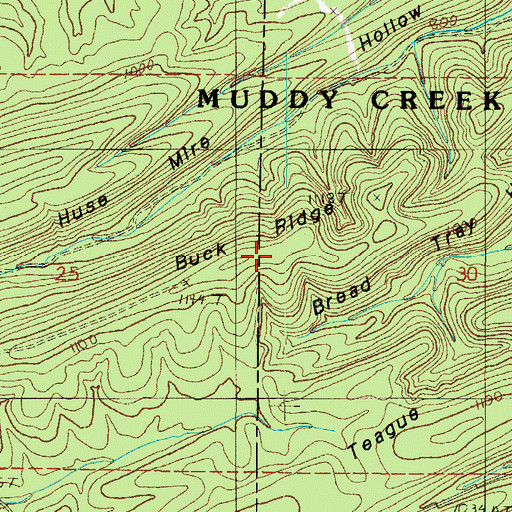 Topographic Map of Buck Ridge, AR