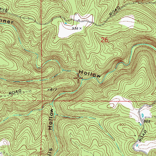 Topographic Map of Bud Wallis Hollow, AR