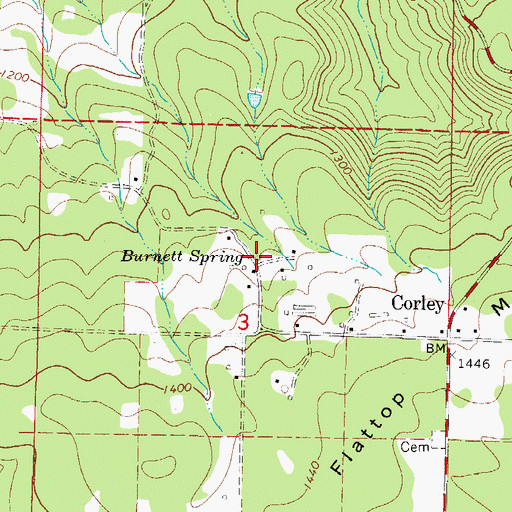 Topographic Map of Burnett Spring, AR