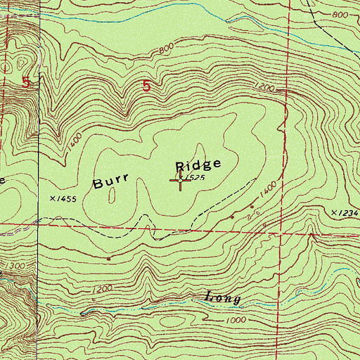 Topographic Map of Burr Ridge, AR