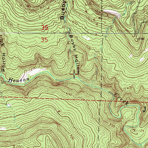 Topographic Map of Busby Hollow, AR