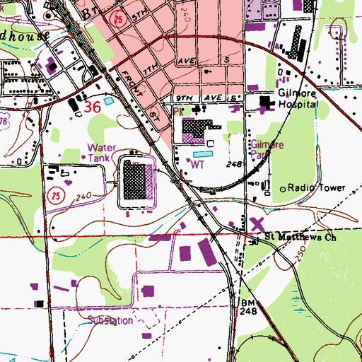 Topographic Map of Stevegaddy (historical), MS