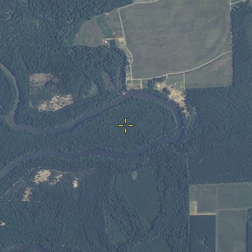 Aerial/Satellite Image of Travis Lott Bend, MS