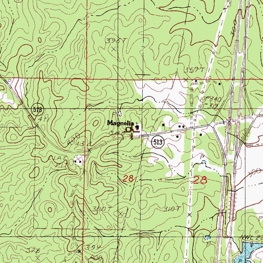 Topographic Map of Magnolia School (historical), MS