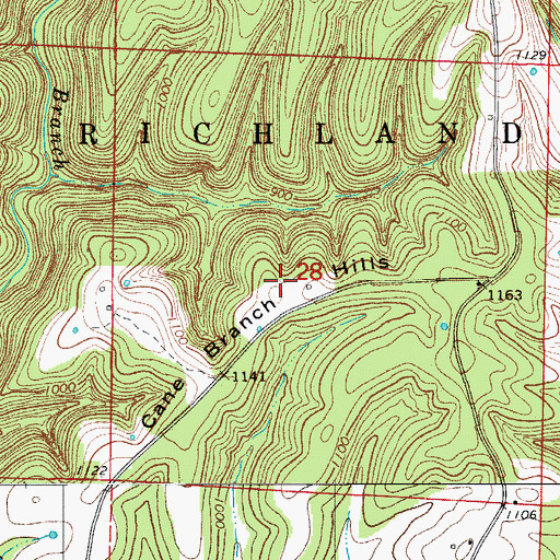Topographic Map of Cane Branch Hills, AR