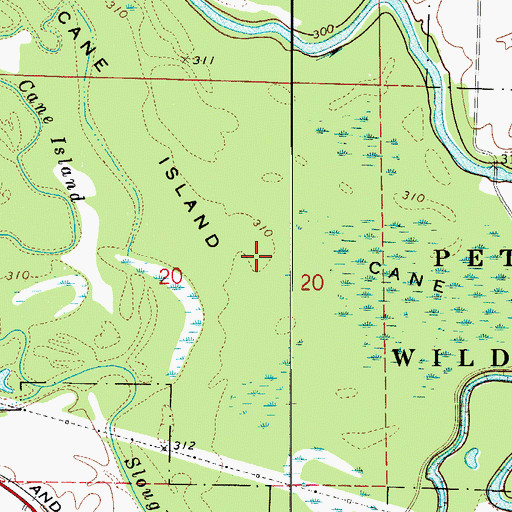 Topographic Map of Cane Island, AR