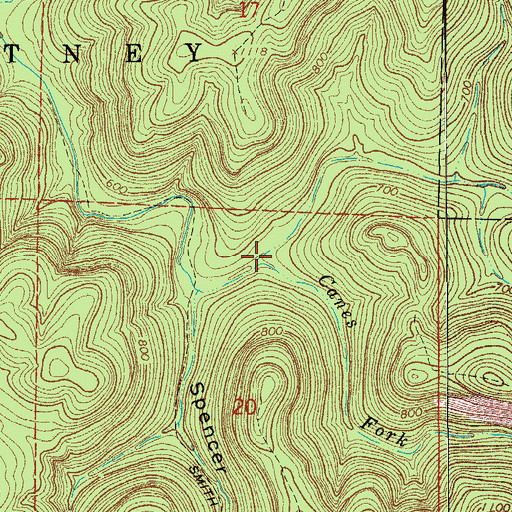 Topographic Map of Canes Fork, AR