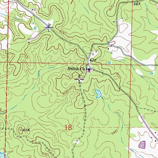 Topographic Map of Shiloh Cemetery, MS