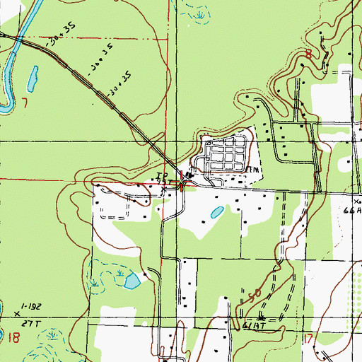 Topographic Map of Palestine, MS