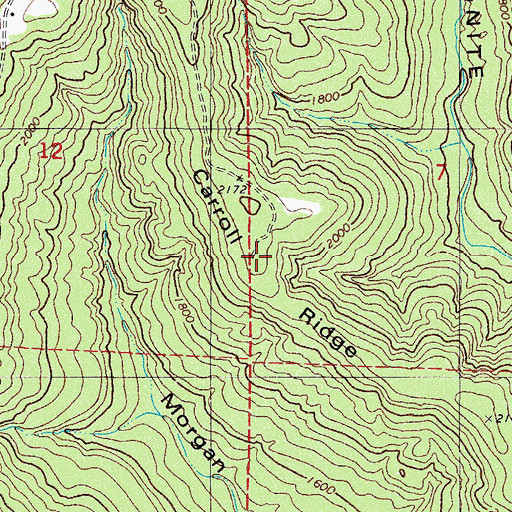 Topographic Map of Carroll Ridge, AR