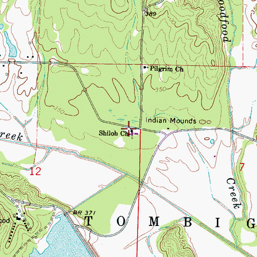 Topographic Map of Shiloh School (historical), MS