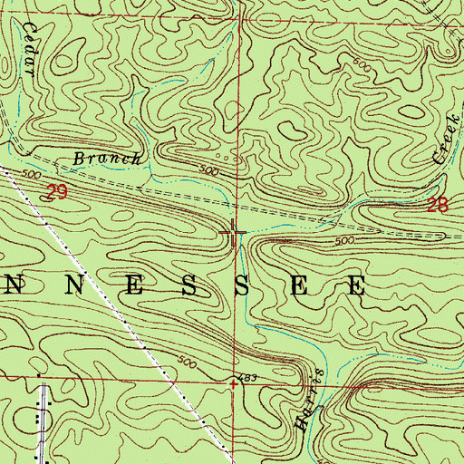 Topographic Map of Cedar Branch, AR