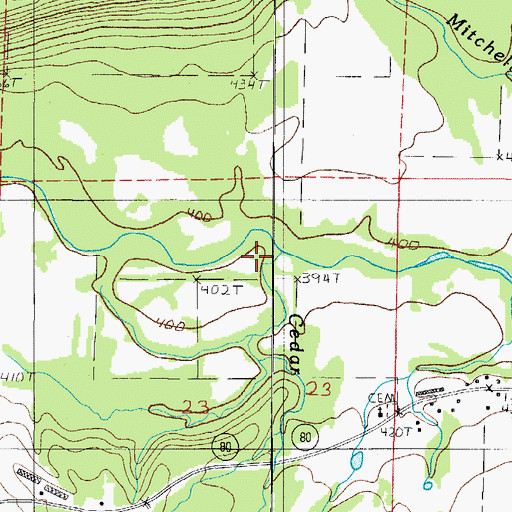 Topographic Map of Cedar Branch, AR