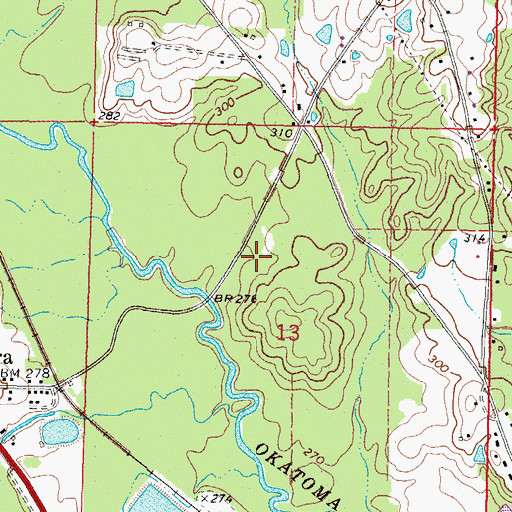 Topographic Map of Ora Swamp, MS
