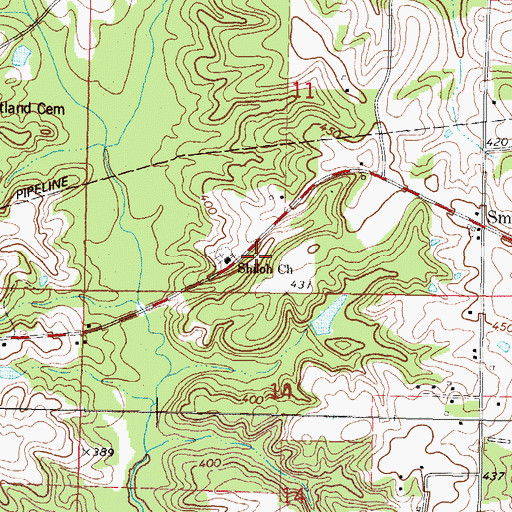 Topographic Map of Shiloh Cemetery, MS