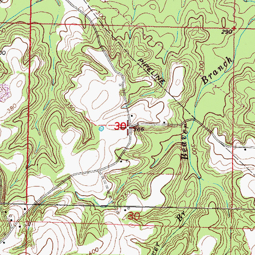 Topographic Map of Speedtown, MS