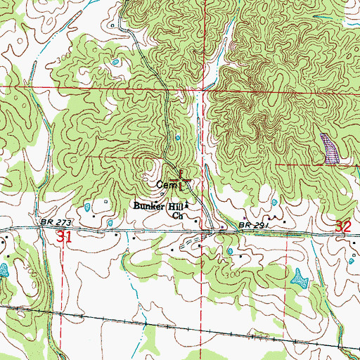 Topographic Map of Bunker Hill Cemetery, MS