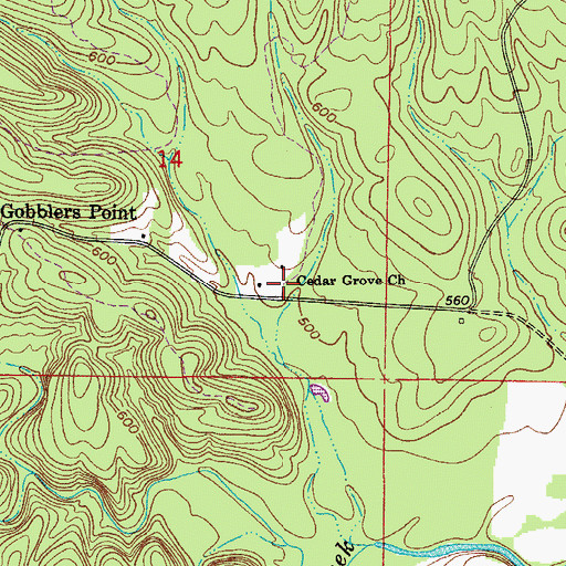 Topographic Map of Cedar Grove Church, AR