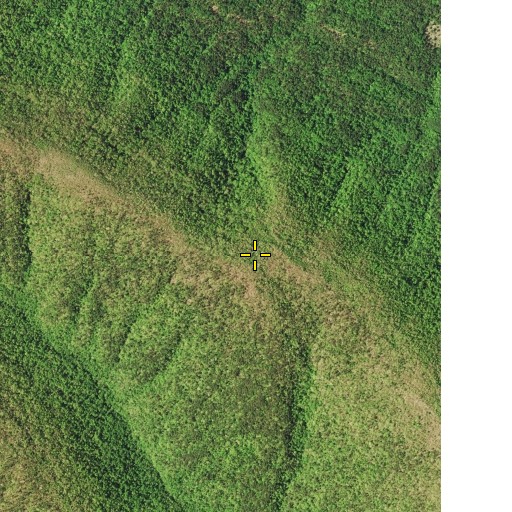 Aerial/Satellite Image of Cedar Mountain, AR