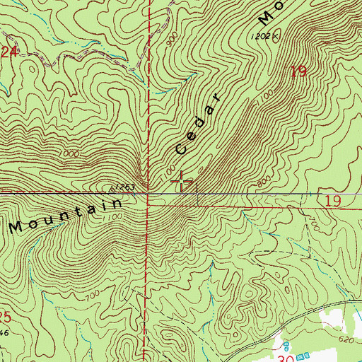 Topographic Map of Cedar Mountain, AR