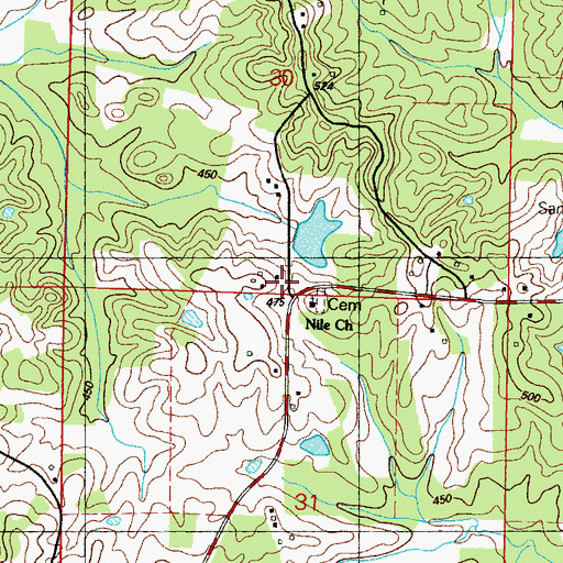 Topographic Map of Nile, MS