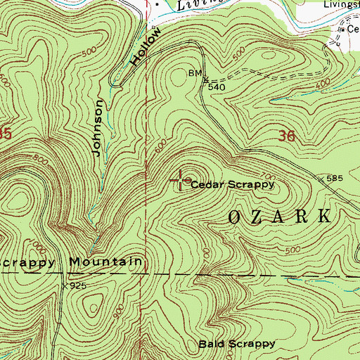 Topographic Map of Cedar Scrappy, AR