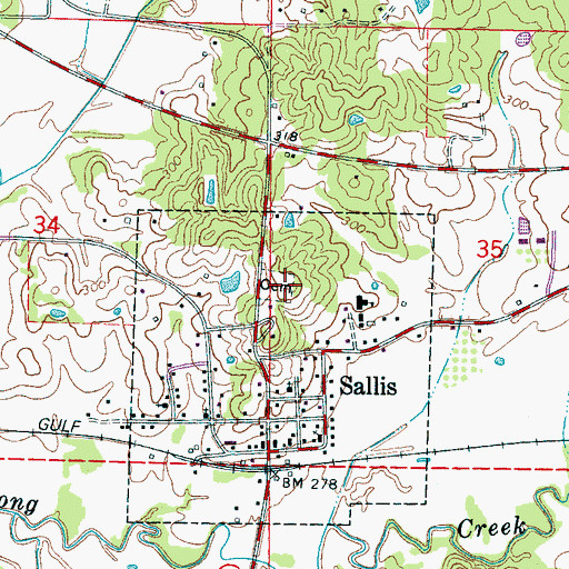 Topographic Map of Sallis Cemetery, MS