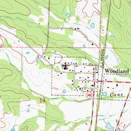 Topographic Map of Woodland Grammar School, MS