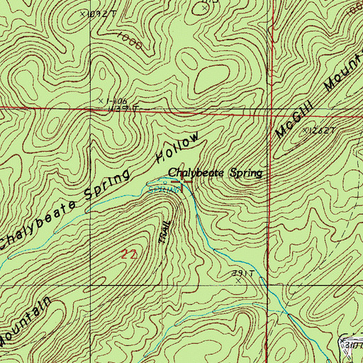Topographic Map of Chalybeate Spring Hollow, AR