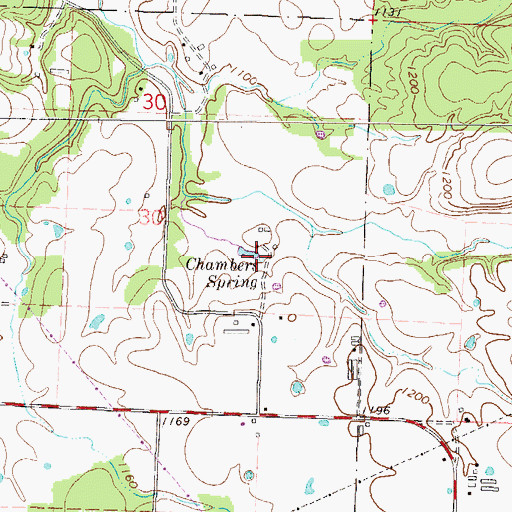 Topographic Map of Chambers Spring, AR