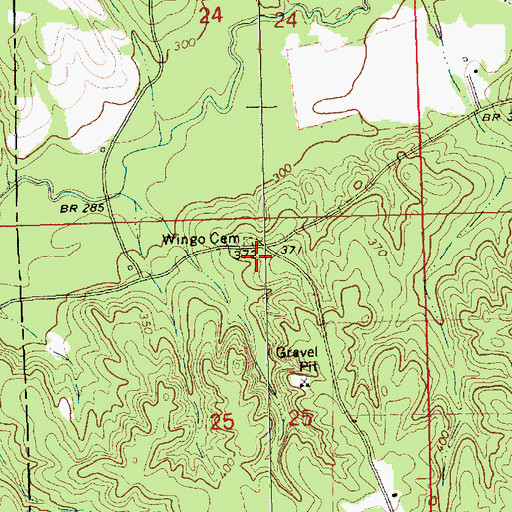 Topographic Map of Bridges, MS