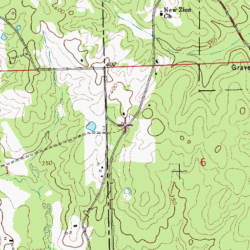 Topographic Map of Irene, MS