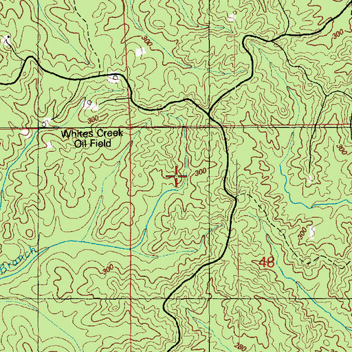 Topographic Map of Leesdale Lookout Tower, MS