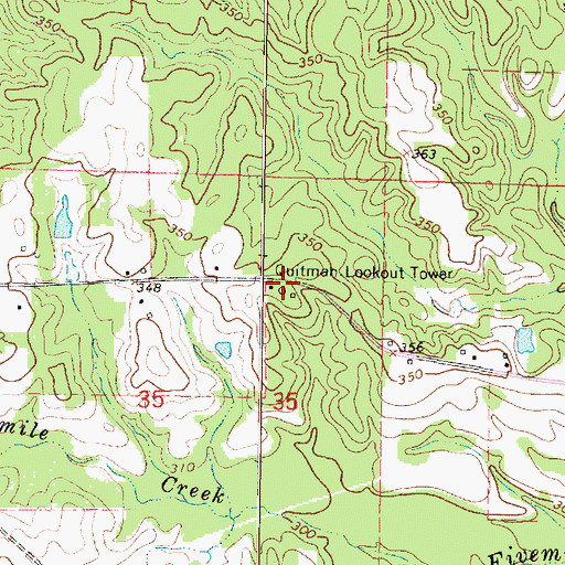 Topographic Map of Quitman Lookout Tower, MS