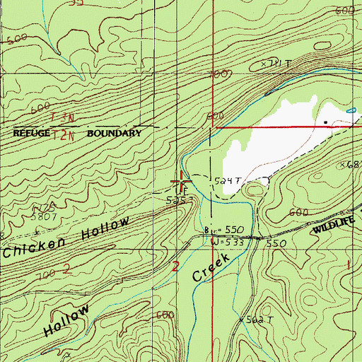 Topographic Map of Chicken Hollow, AR