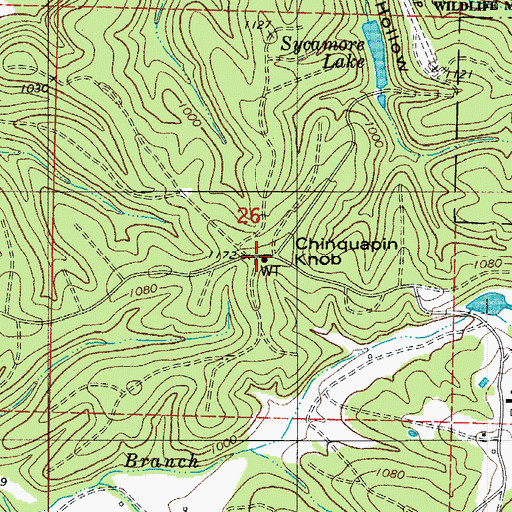 Topographic Map of Chinquapin Knob, AR