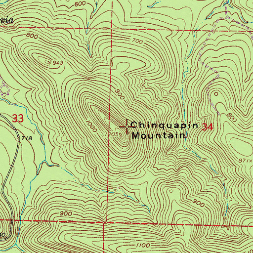 Topographic Map of Chinquapin Mountain, AR