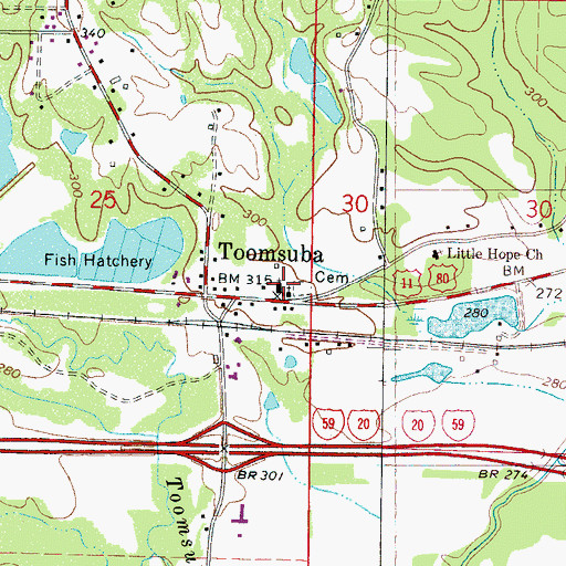 Topographic Map of Toomsuba Baptist Church, MS