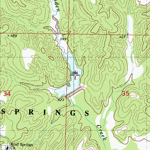 Topographic Map of Bluff Springs Lake, MS
