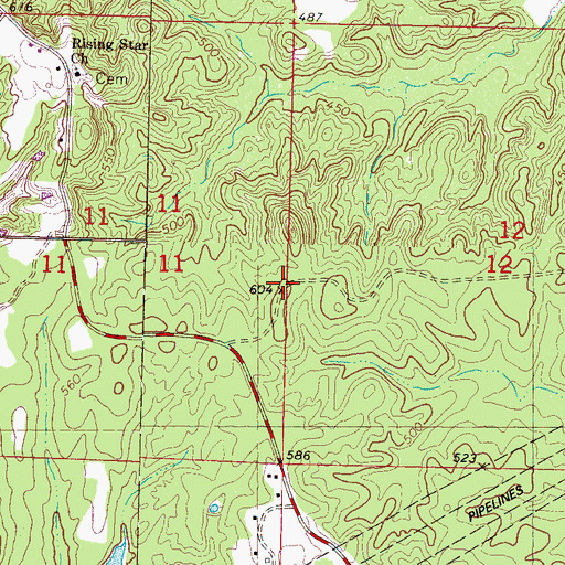 Topographic Map of Pine Mountain Overlook, MS