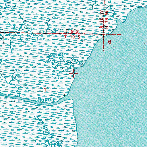 Topographic Map of Shrimp Bayou, MS