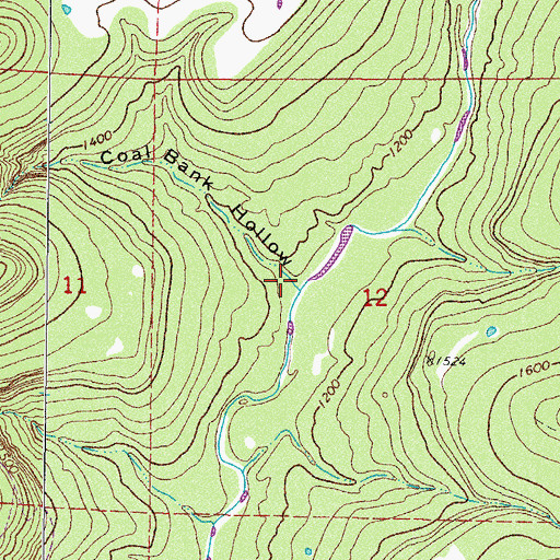 Topographic Map of Coal Bank Hollow, AR