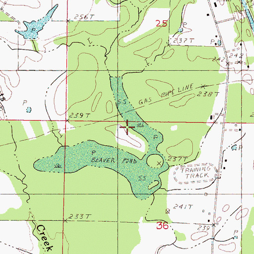 Topographic Map of Supervisor District 3, MS