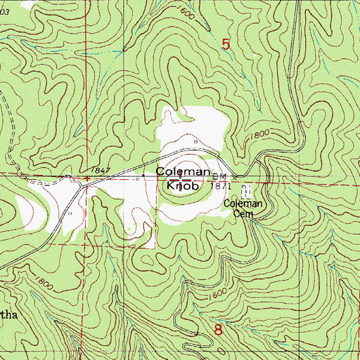Topographic Map of Coleman Knob, AR