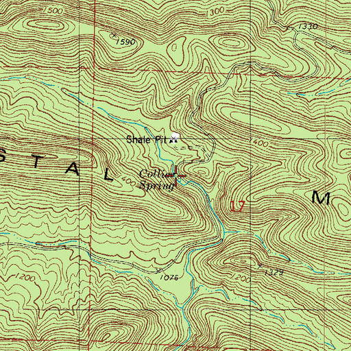 Topographic Map of Collier Spring, AR