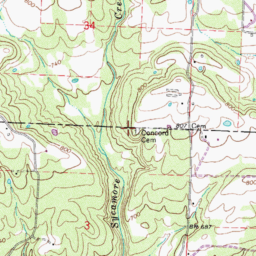 Topographic Map of Concord Cemetery, AR